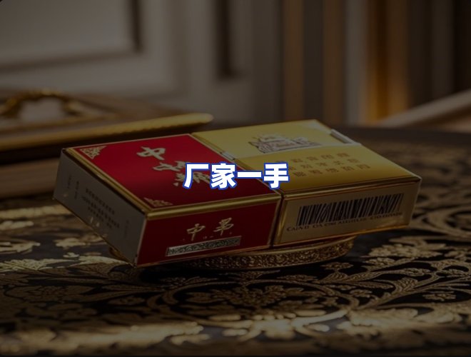 专业团队